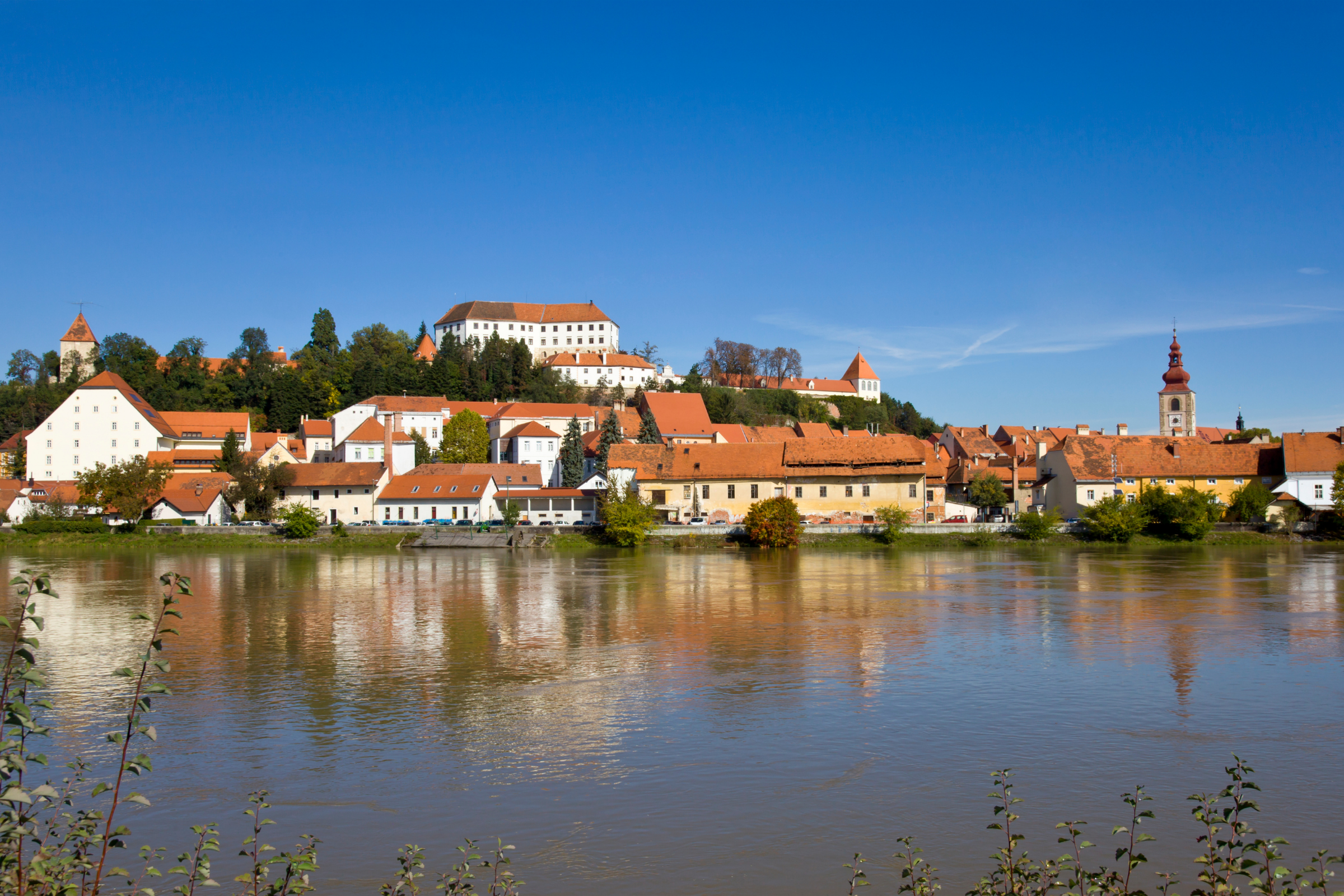 ptuj (4).webp